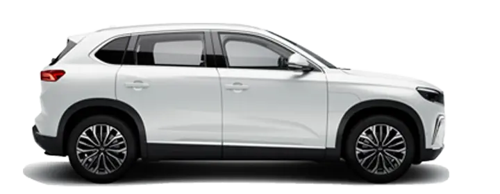 TOGG T10X V1 RWD Standart 218 HP  Otomatik